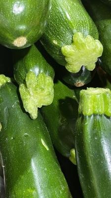 Zucchini (Green)